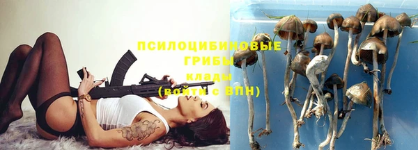 2c-b Богданович