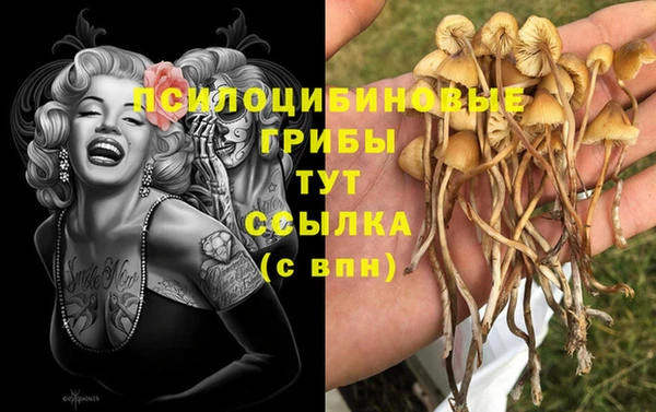 ALPHA PVP Богородицк