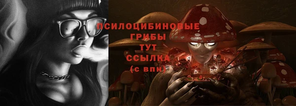 2c-b Богданович