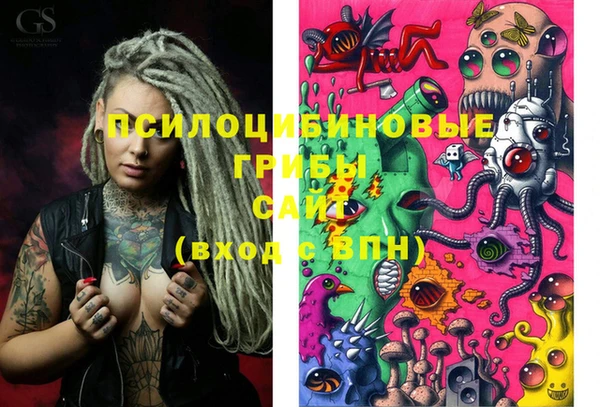 2c-b Богданович